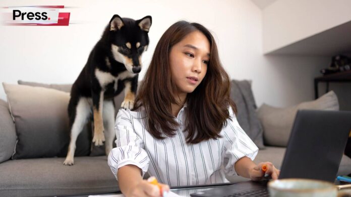 dog standing next to a malaysian woman working on her laptop